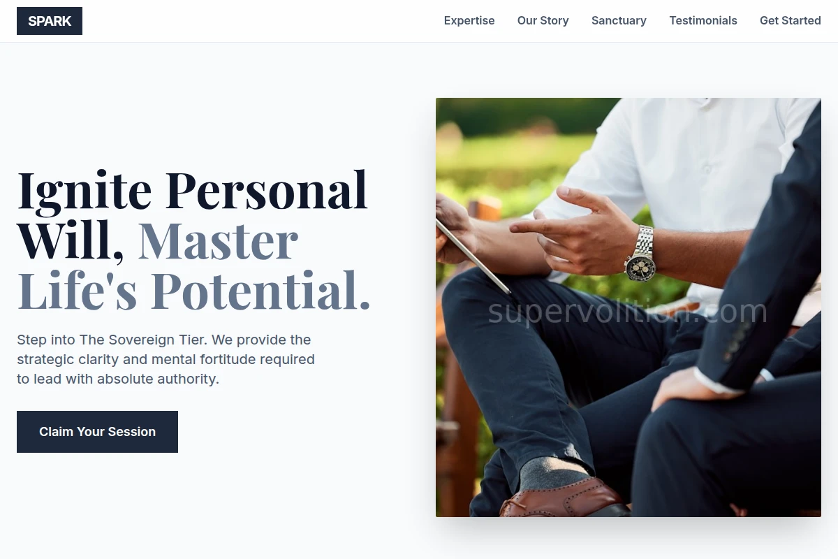 spark Business Coach