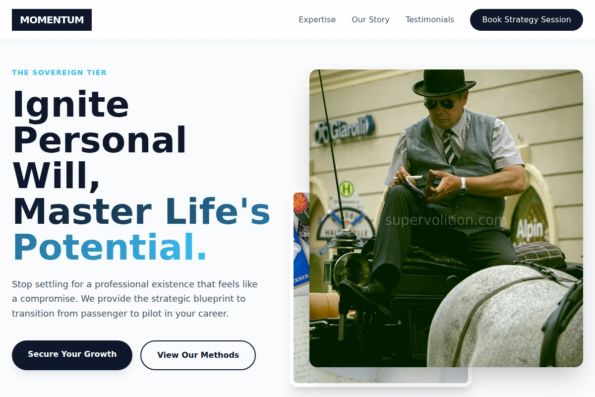 momentum Career Coach